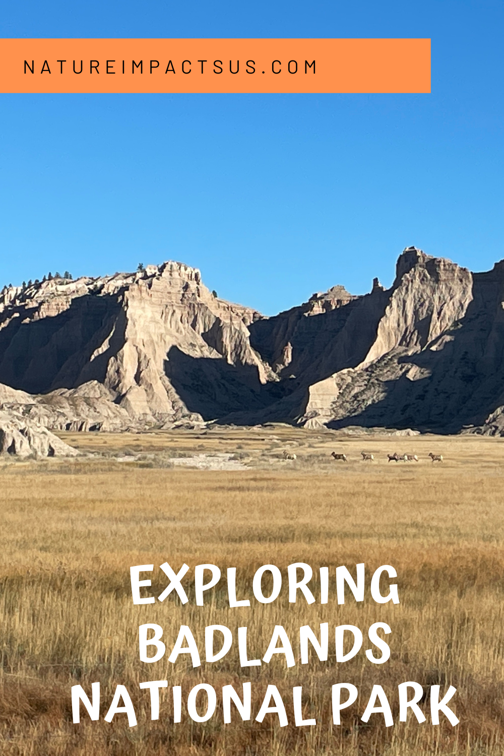 Traveling Through Badlands National Park — Nature Impacts Us